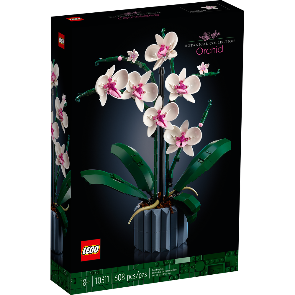 Orquídeas