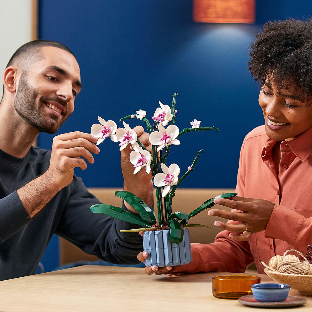 Combo Orquídeas Eternas: Orquídeas (10311) y Miniorquídea (10343)