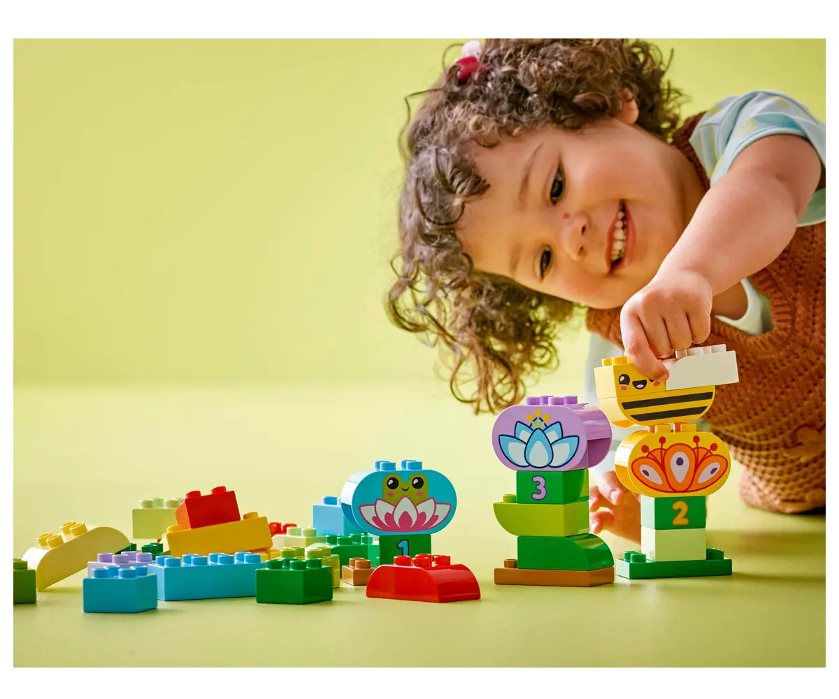 Jardín y Flores Creativas