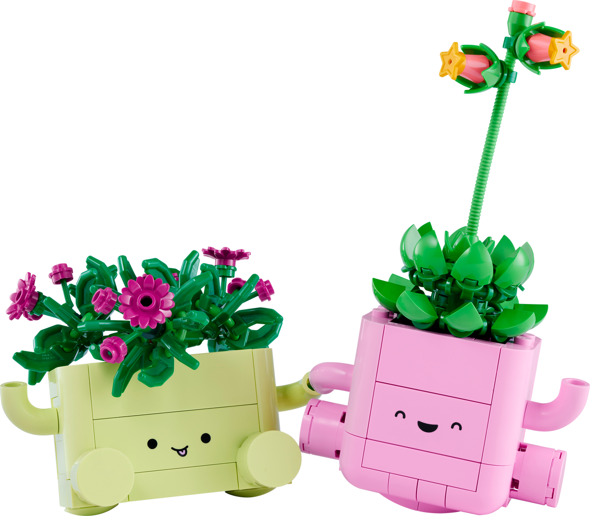 Plantas Bailarinas
