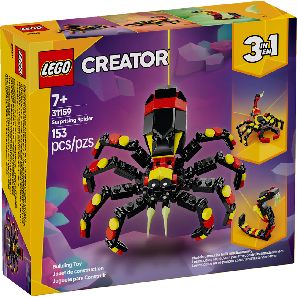 Fauna Salvaje: Araña Misteriosa