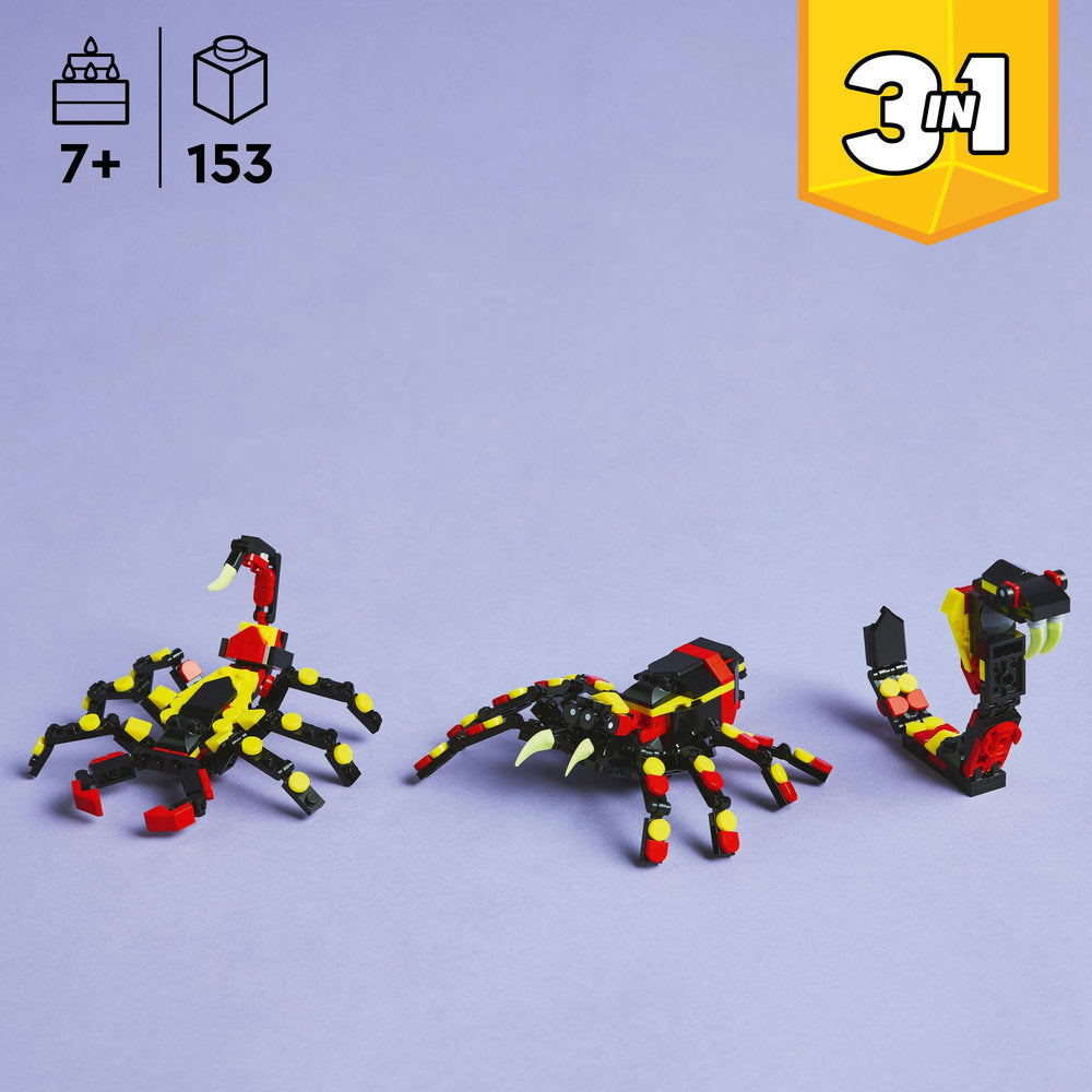 Fauna Salvaje: Araña Misteriosa