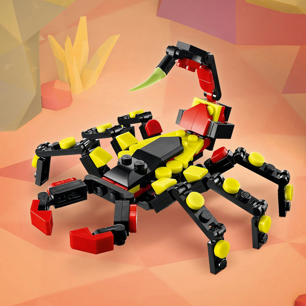 Fauna Salvaje: Araña Misteriosa
