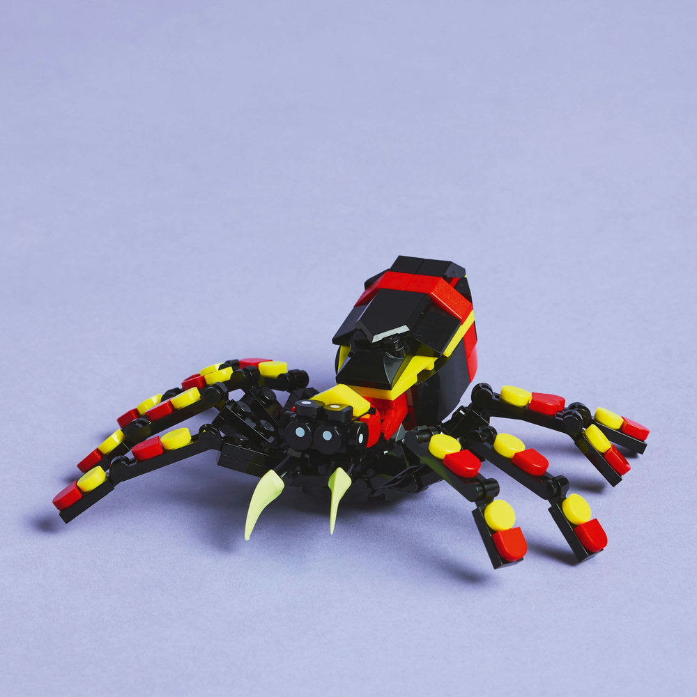 Fauna Salvaje: Araña Misteriosa