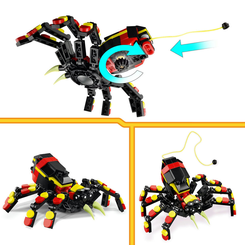 Fauna Salvaje: Araña Misteriosa