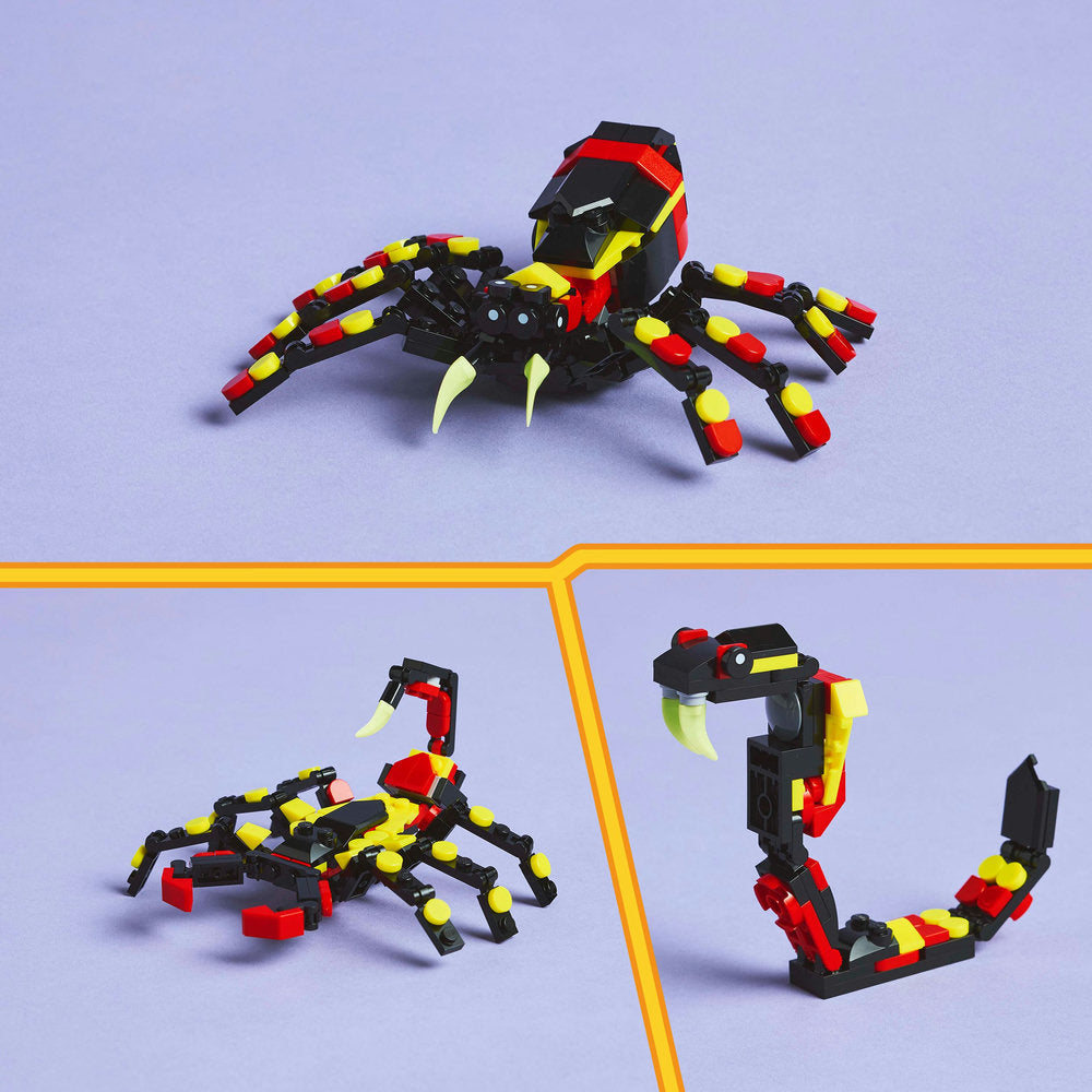 Fauna Salvaje: Araña Misteriosa