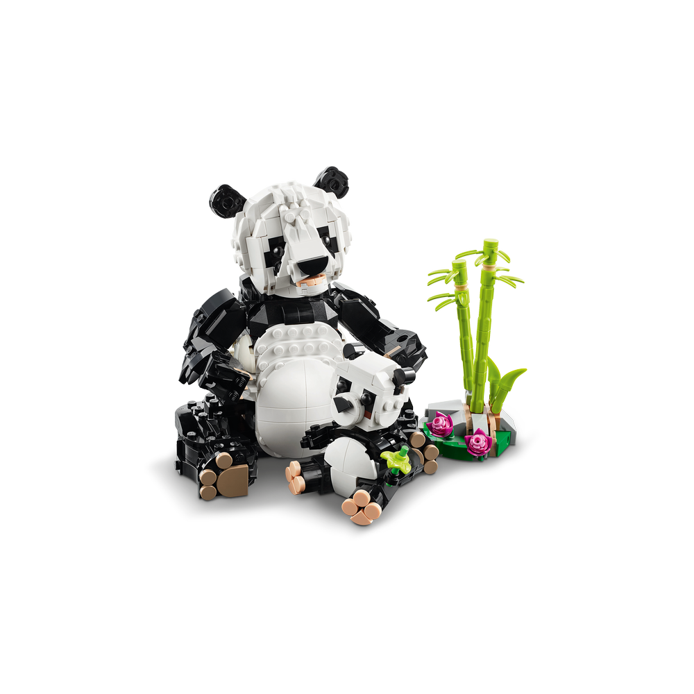 Fauna Salvaje: Familia de Pandas