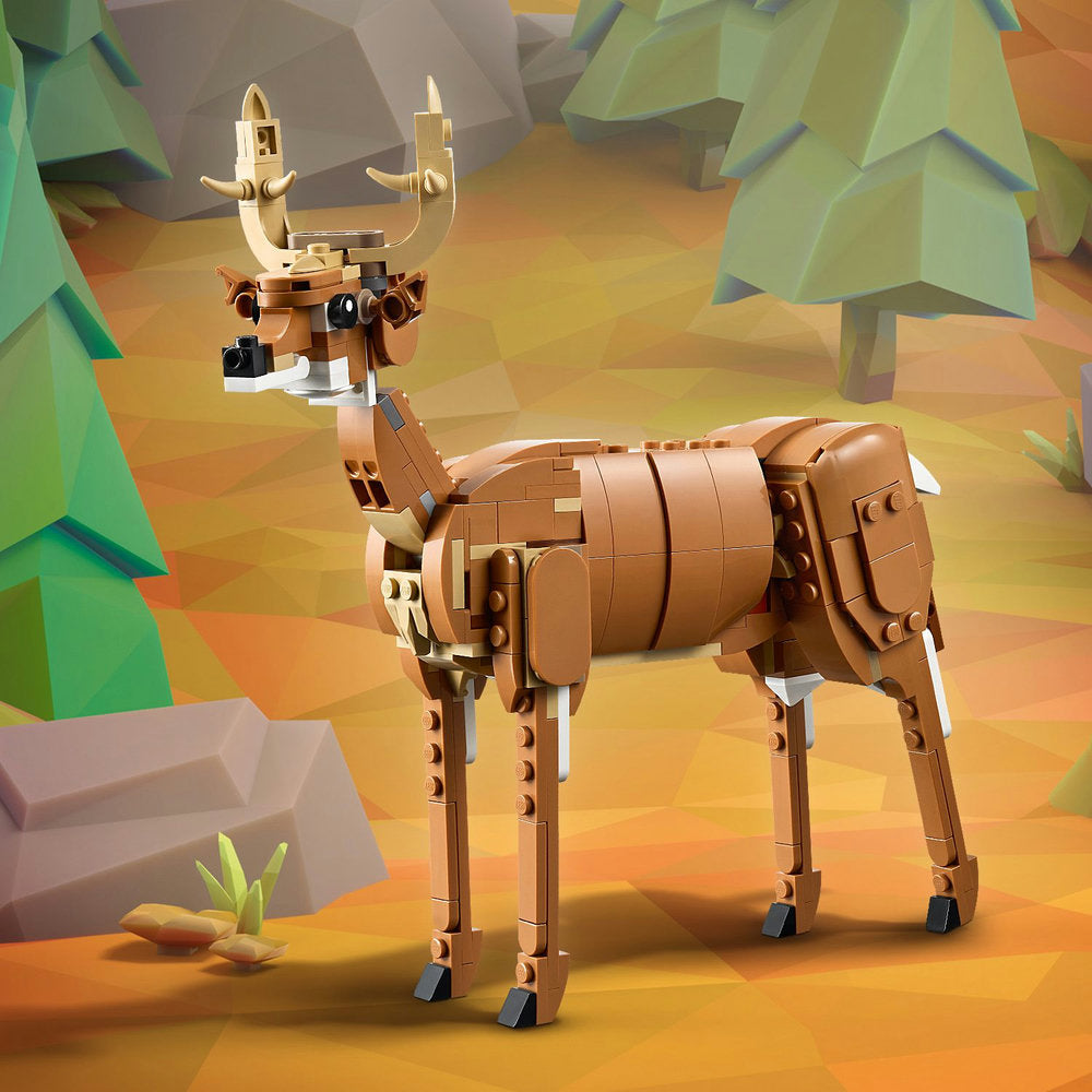 Caballo Noble
