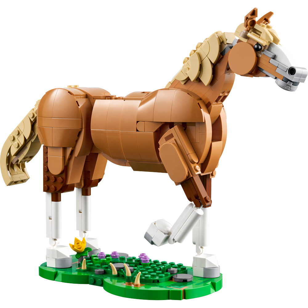 Caballo Noble