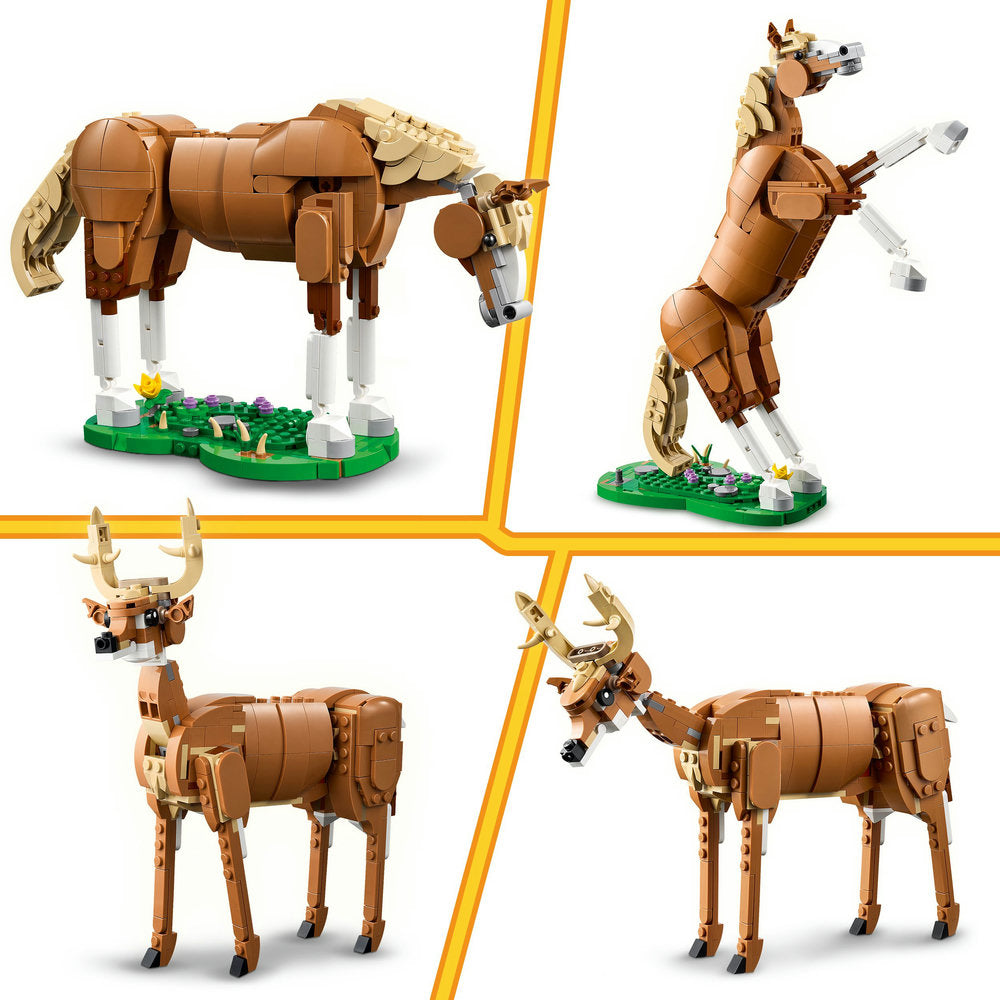 Caballo Noble
