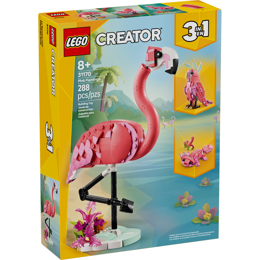 Fauna Salvaje: Flamenco Rosa