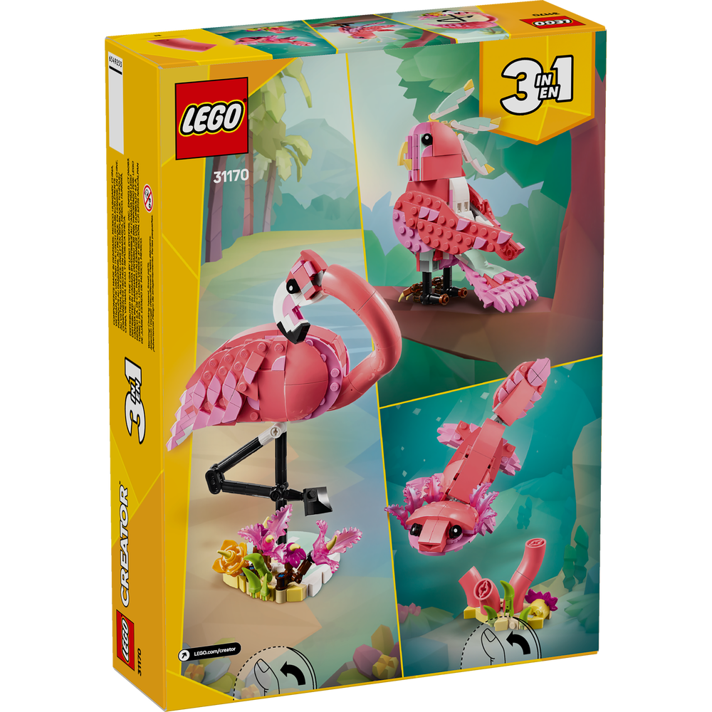 Fauna Salvaje: Flamenco Rosa