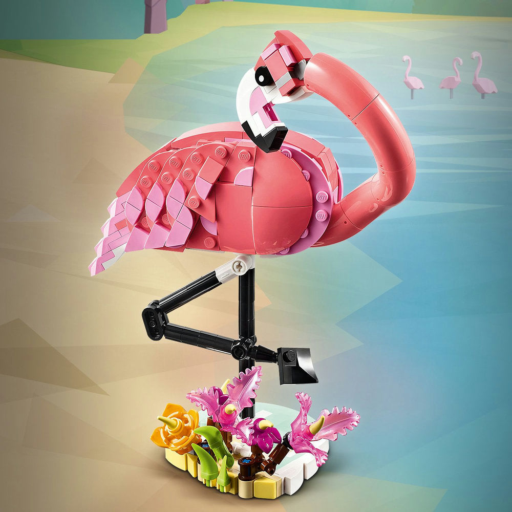 Fauna Salvaje: Flamenco Rosa