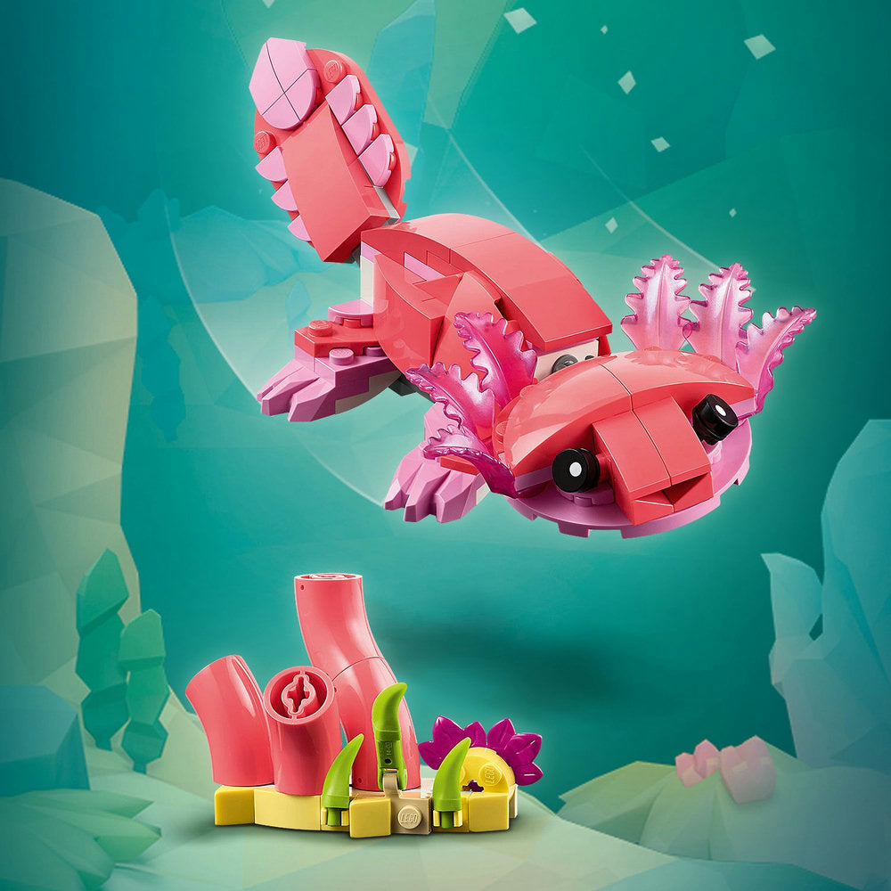 Fauna Salvaje: Flamenco Rosa