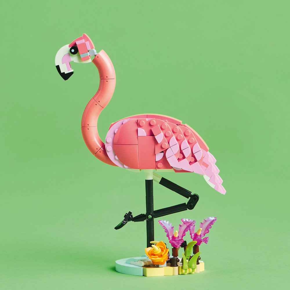 Fauna Salvaje: Flamenco Rosa