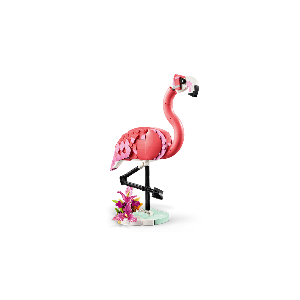 Fauna Salvaje: Flamenco Rosa