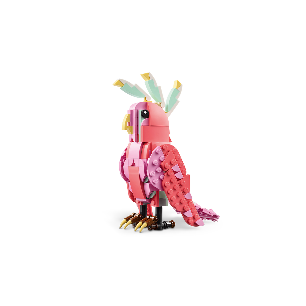 Fauna Salvaje: Flamenco Rosa
