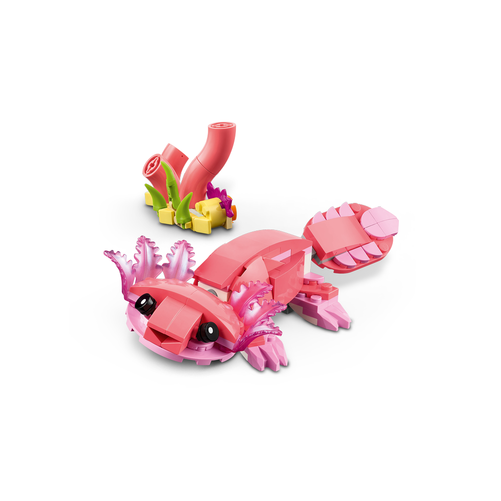 Fauna Salvaje: Flamenco Rosa