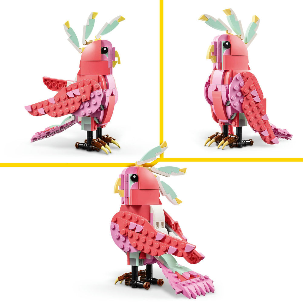 Fauna Salvaje: Flamenco Rosa