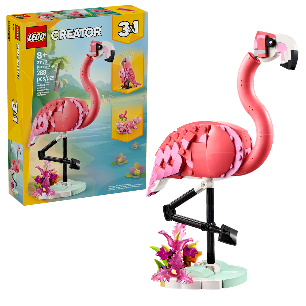 Fauna Salvaje: Flamenco Rosa