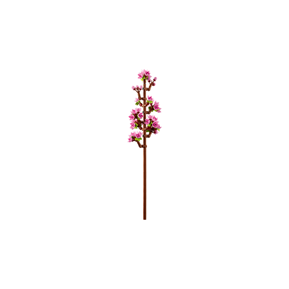 Flores de Cerezo