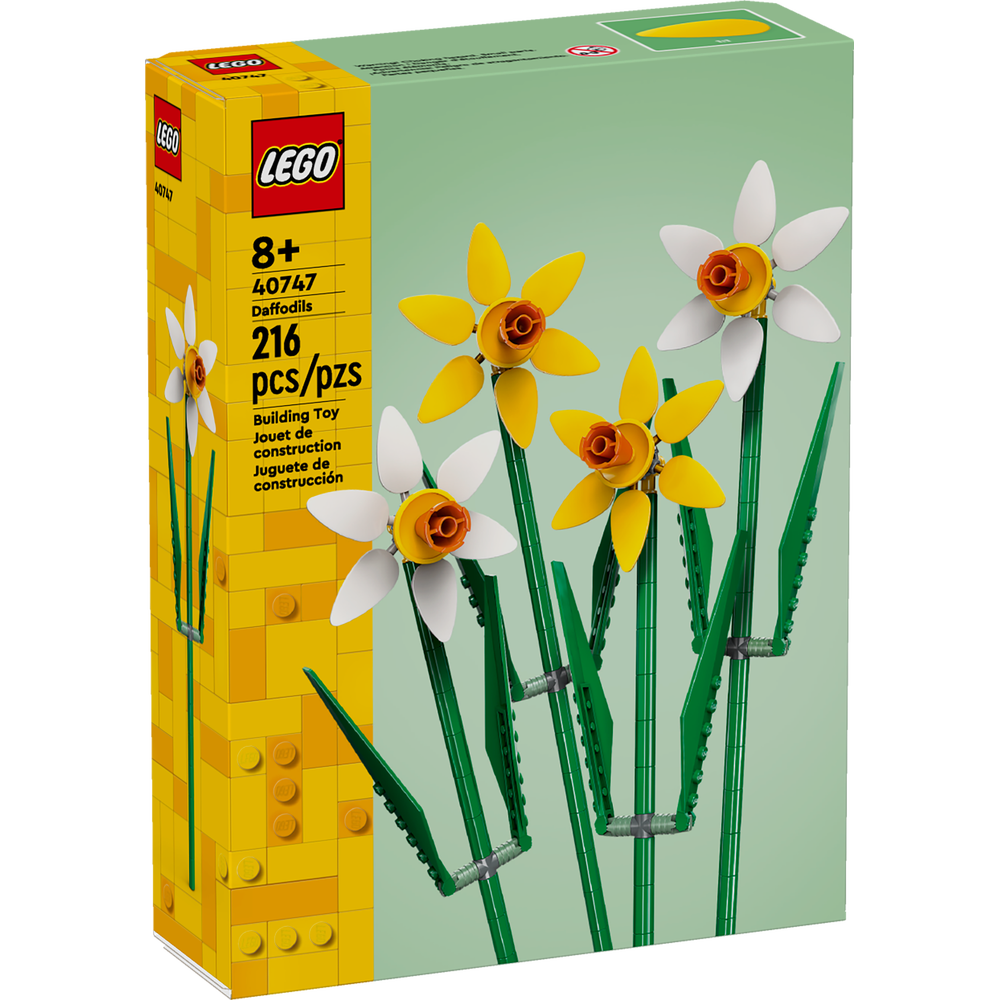 Narcisos