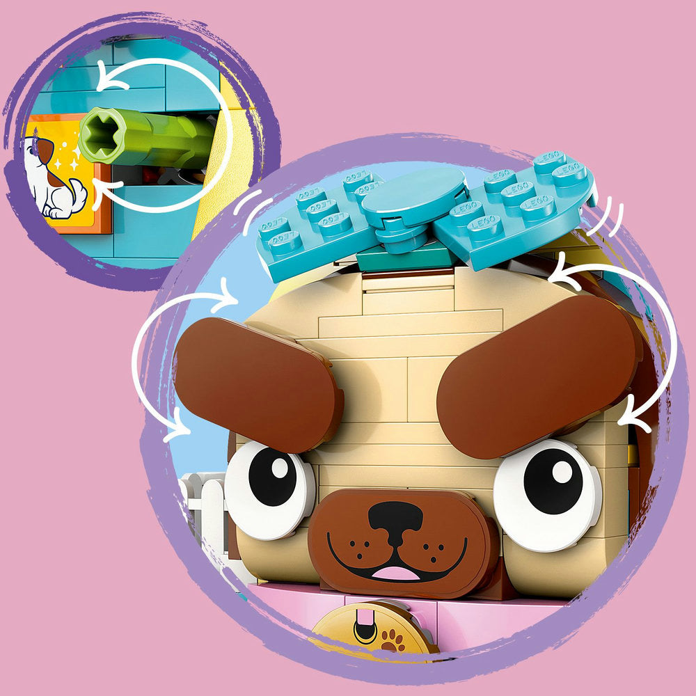 Tienda de Accesorios para Mascotas