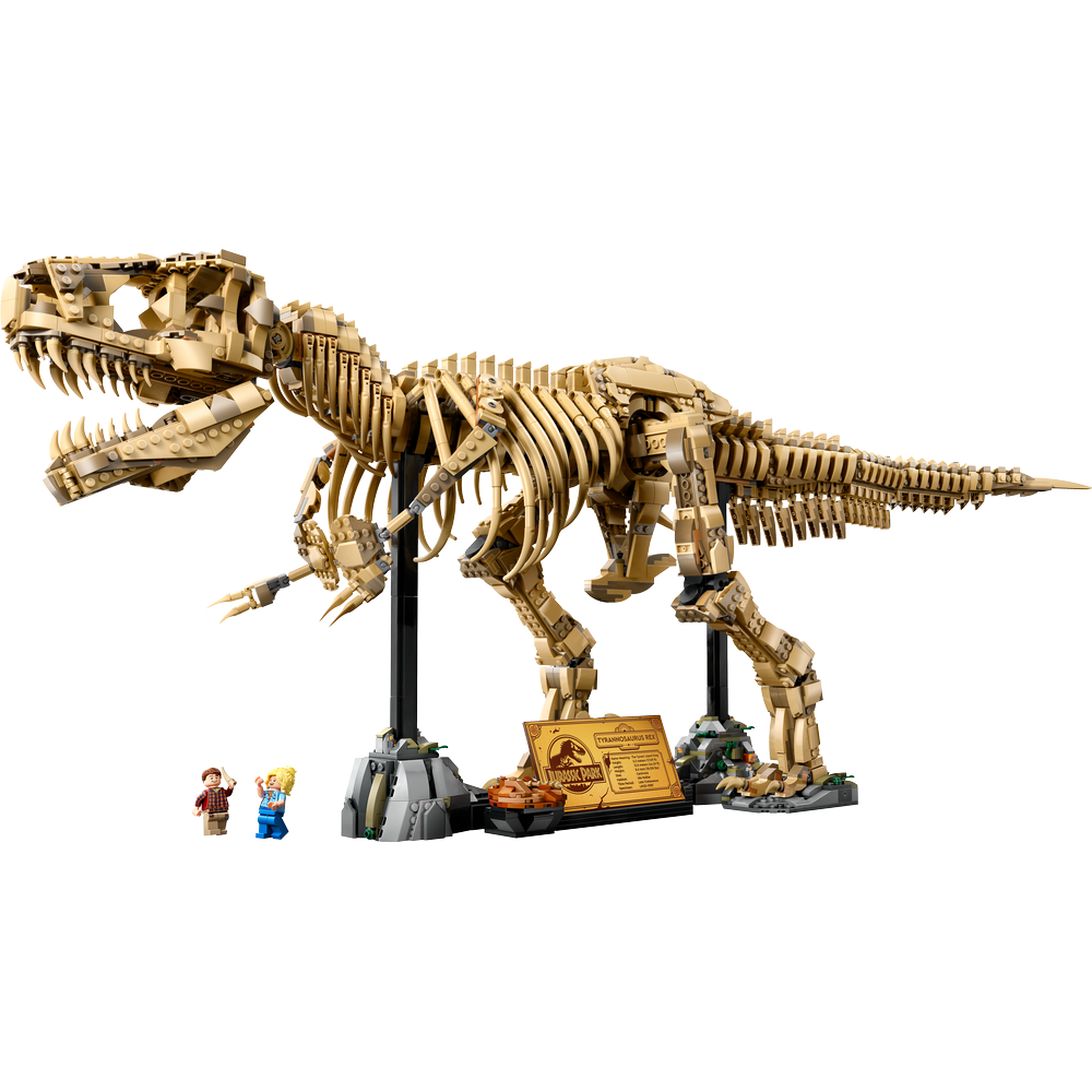 Fósiles de Dinosaurio: Tyrannosaurus rex