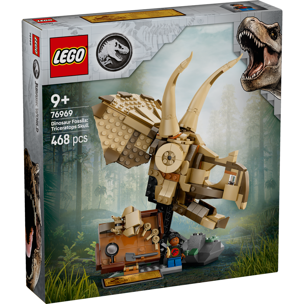 Fósiles de Dinosaurio: Cráneo de Triceratops