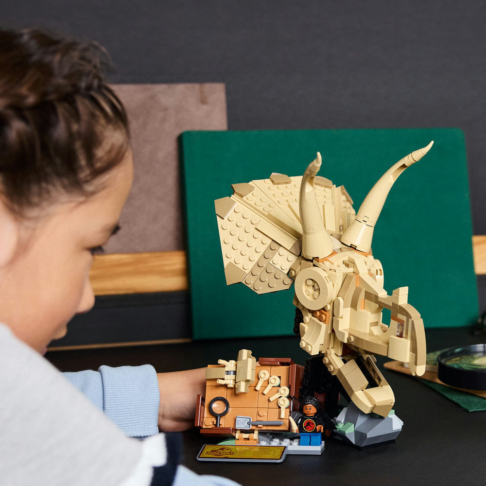 Fósiles de Dinosaurio: Cráneo de Triceratops