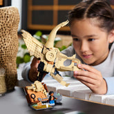 Fósiles de Dinosaurio: Cráneo de Triceratops