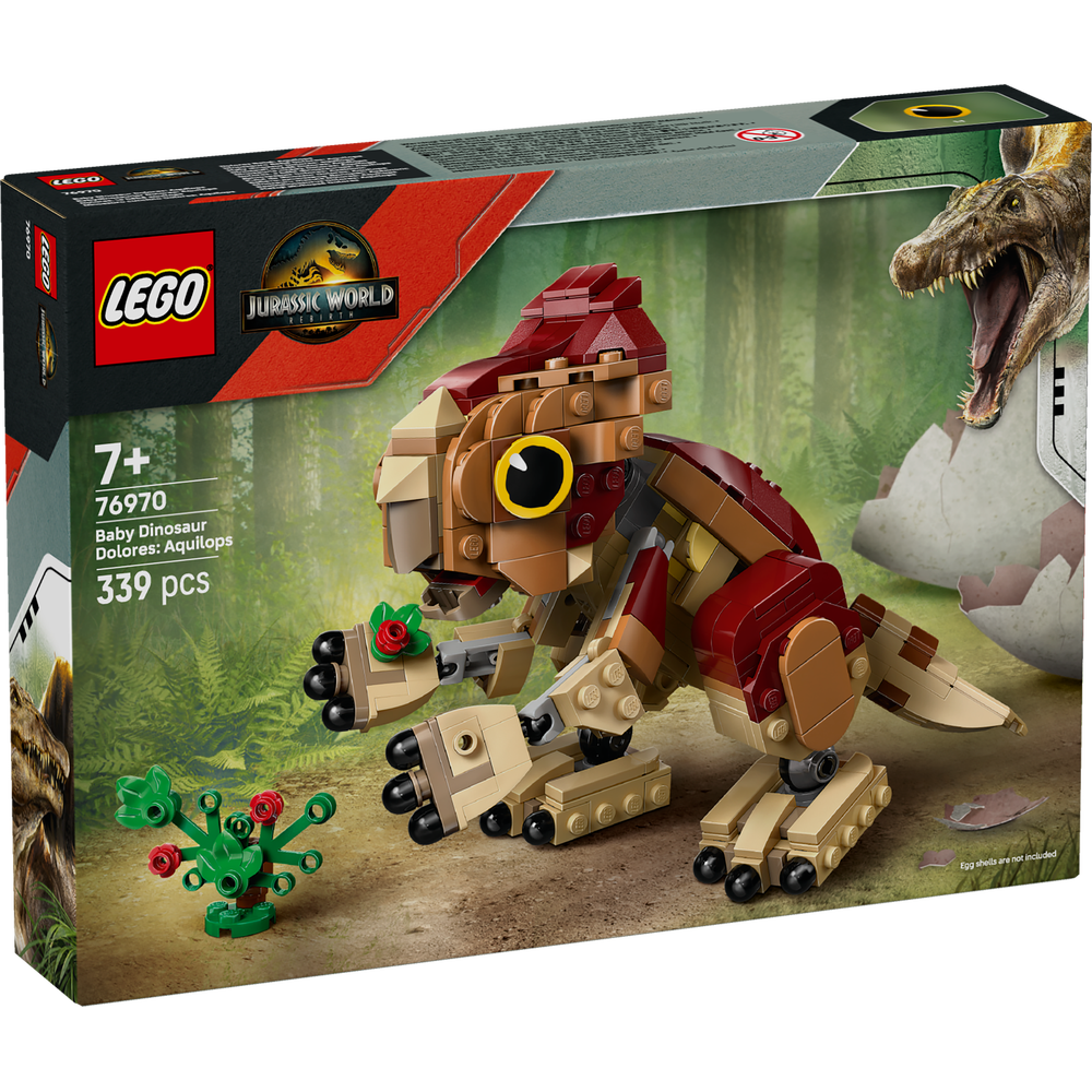 Dolores Bebé: Aquilops