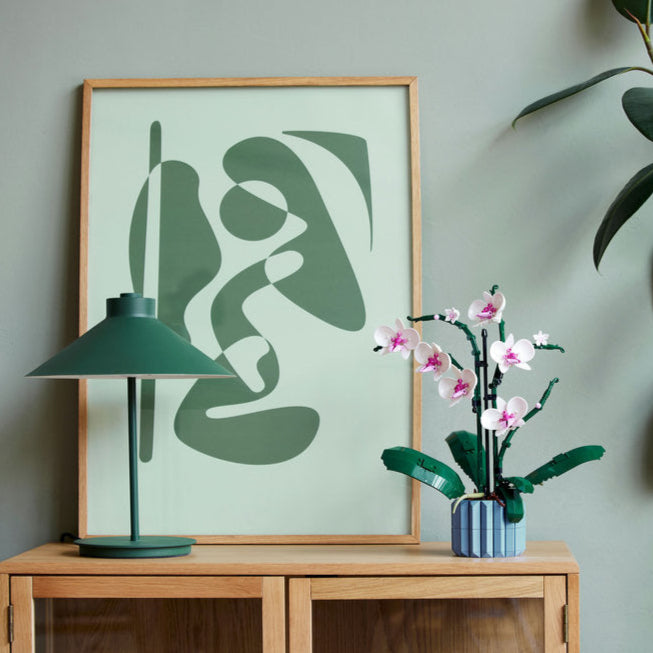 Combo Elegancia Botánica: Bambú de la Suerte (10344) y Orquídeas (10311)