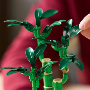 Combo Elegancia Botánica: Bambú de la Suerte (10344) y Orquídeas (10311)