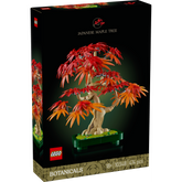 Bonsái de Arce Rojo Japonés