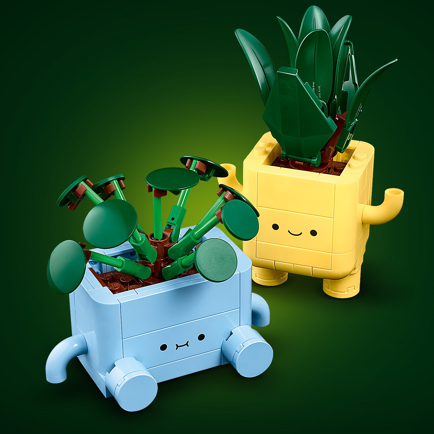 Plantas Felices