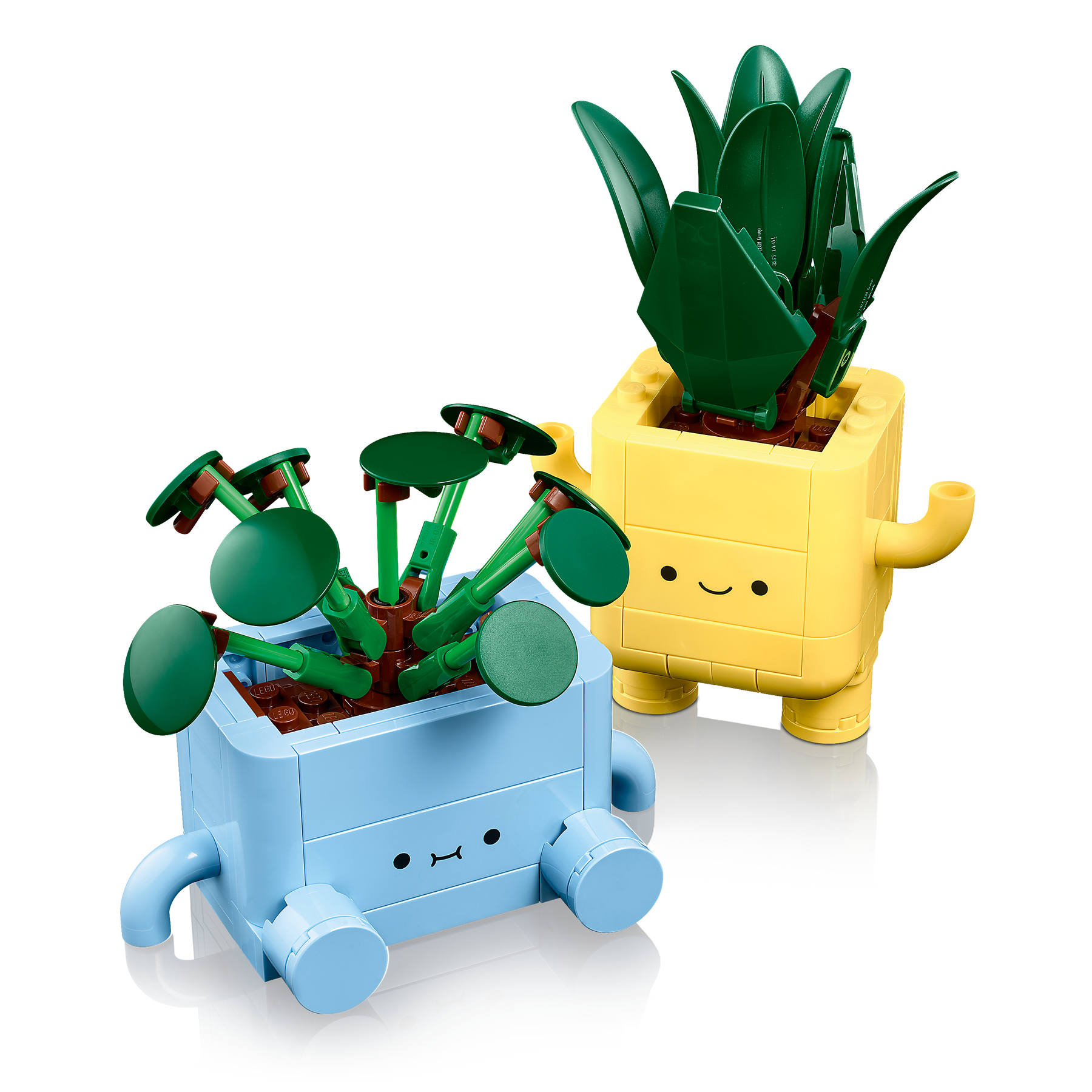 Plantas Felices