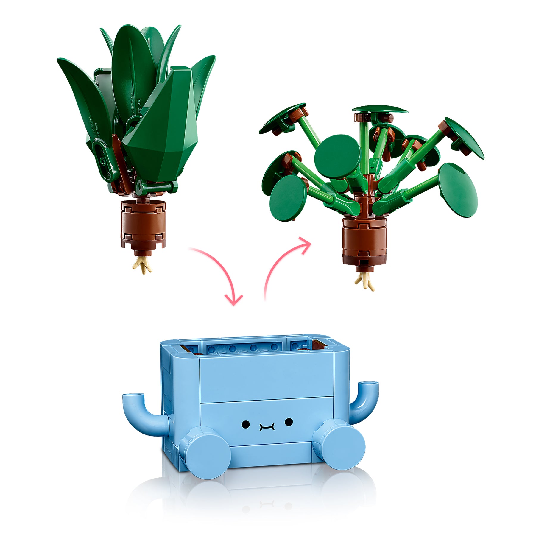 Plantas Felices