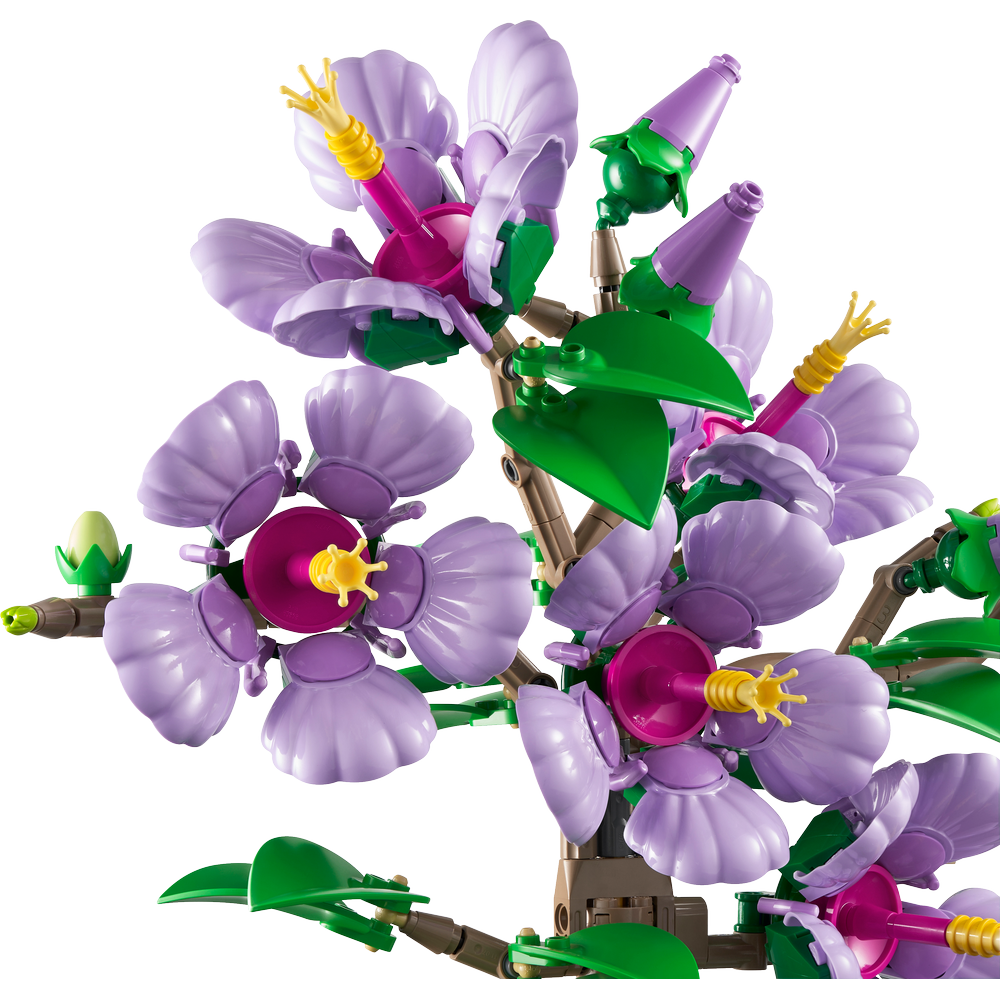 Hibisco