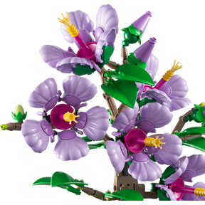 Hibisco