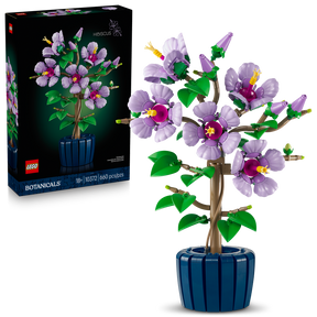 Hibisco