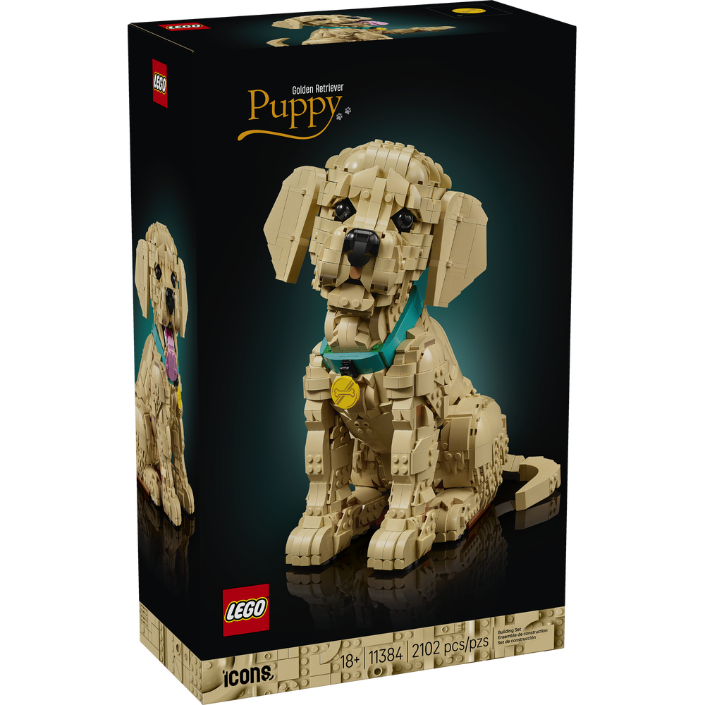 Cachorro de Golden Retriever