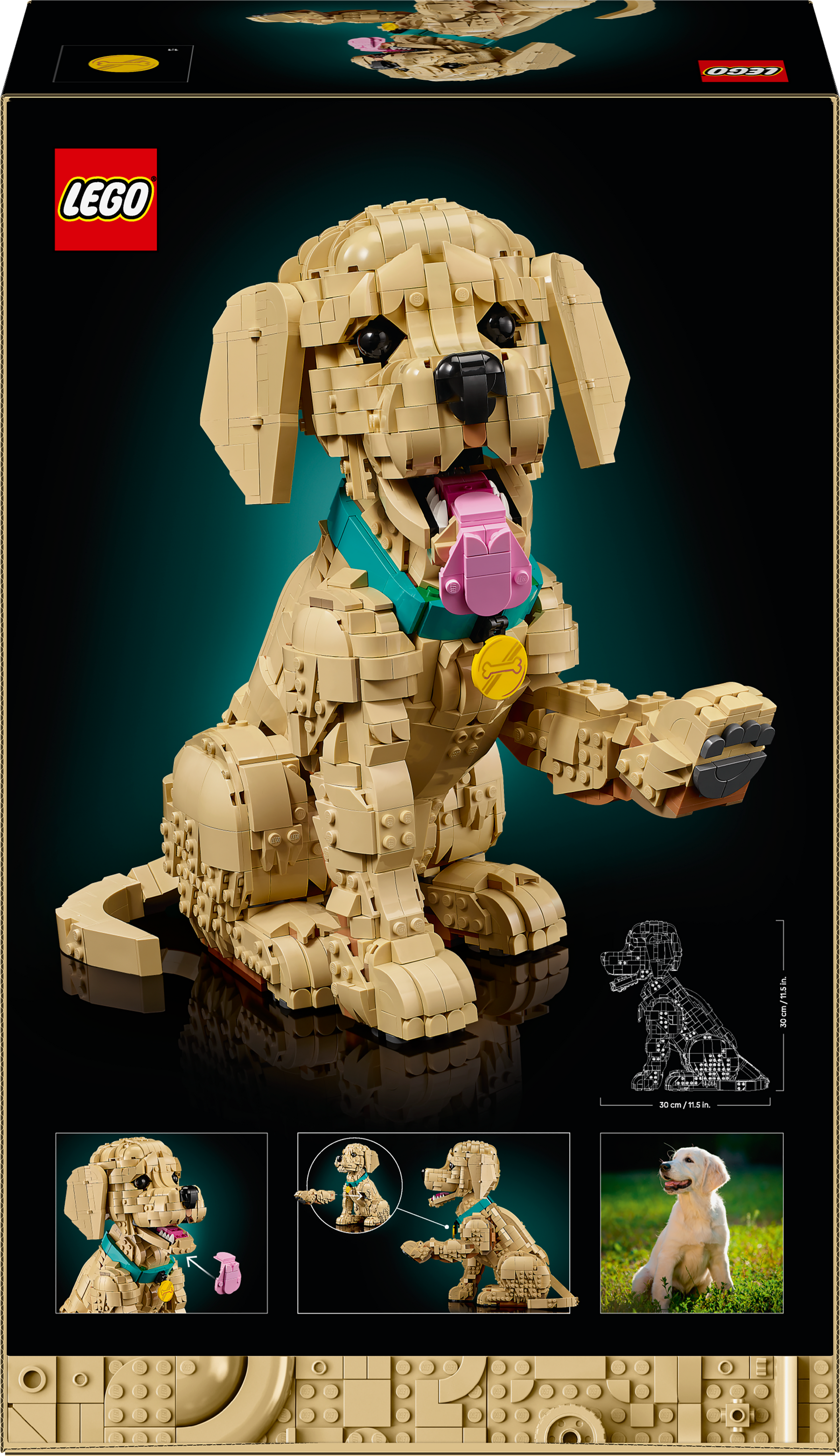 Cachorro de Golden Retriever