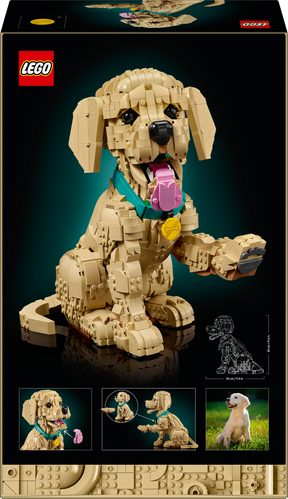 Cachorro de Golden Retriever