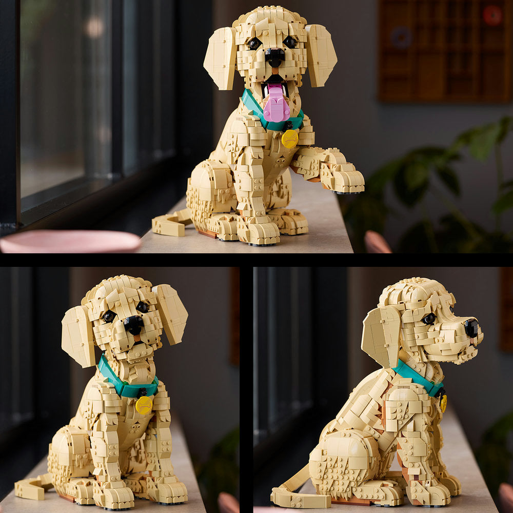Cachorro de Golden Retriever