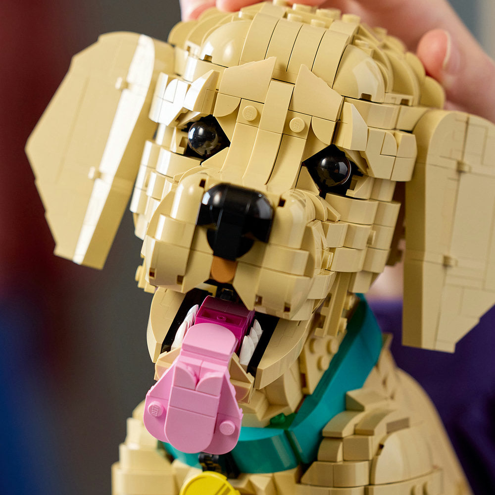 Cachorro de Golden Retriever