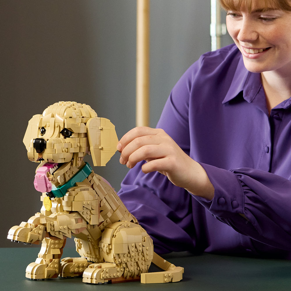 Cachorro de Golden Retriever