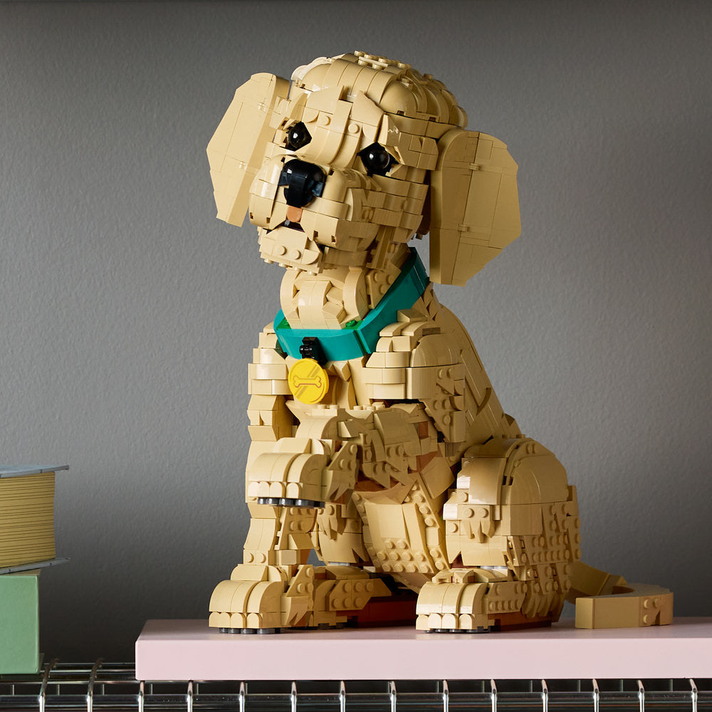 Cachorro de Golden Retriever