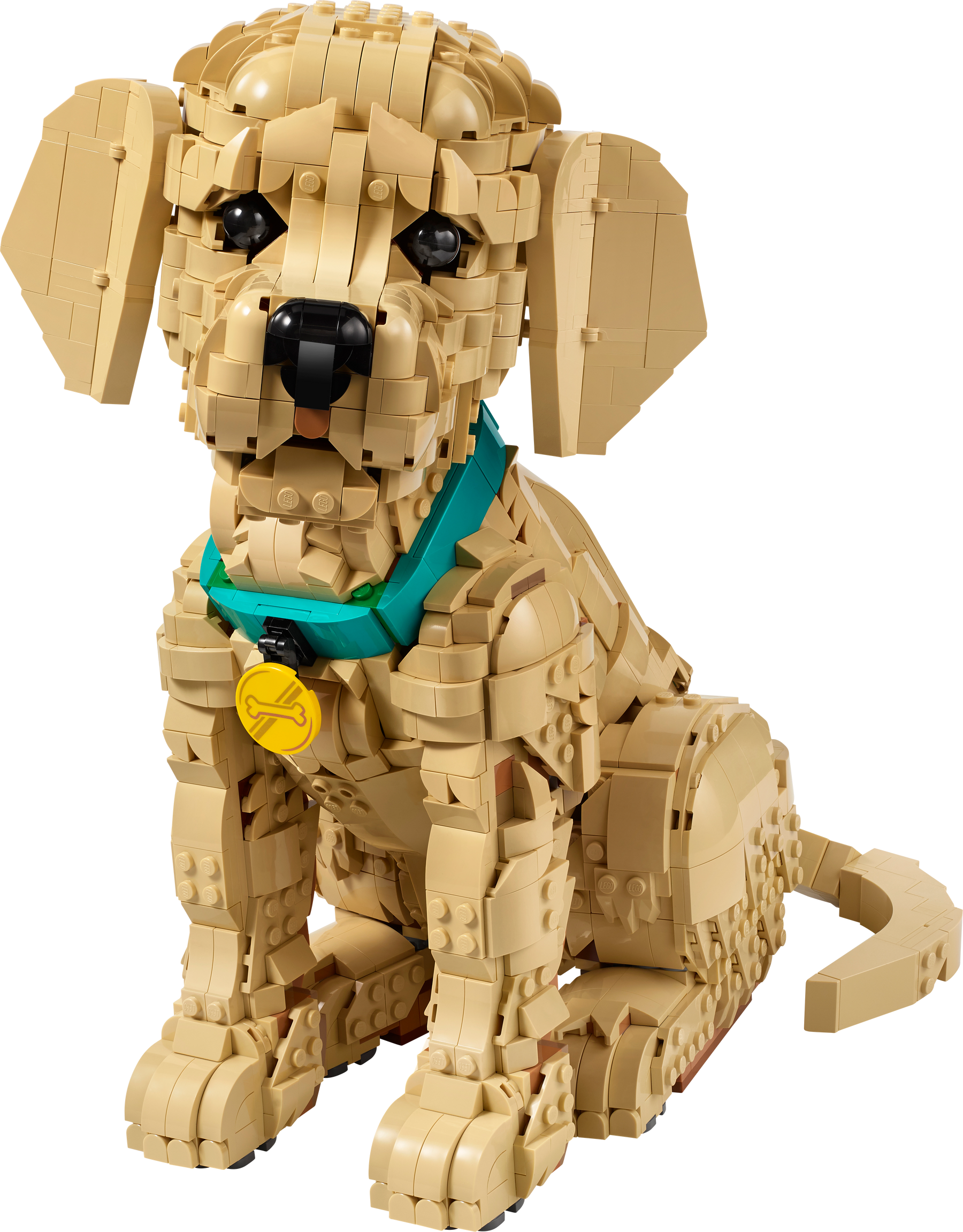 Cachorro de Golden Retriever