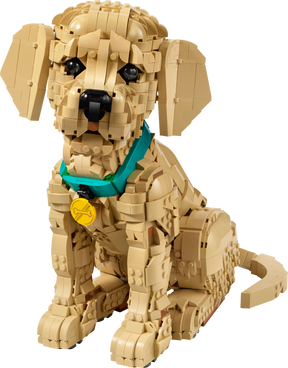 Cachorro de Golden Retriever